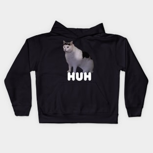 Huh Cat Meme Kids Hoodie